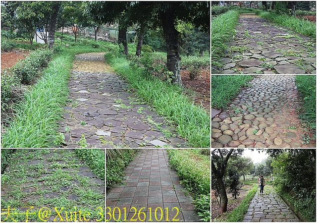 水保好好玩：三水水土保持戶外教室，一座兼具安全、生態與休閒的水保樂園