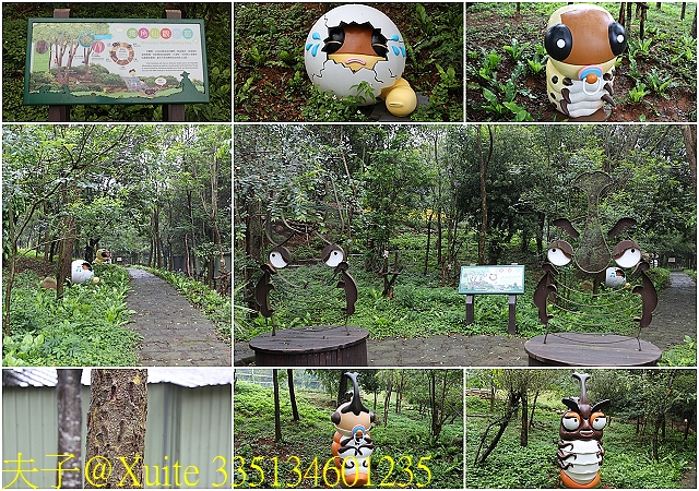 水保好好玩：三水水土保持戶外教室，一座兼具安全、生態與休閒的水保樂園