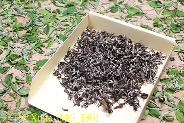 水保好好玩：三水水土保持戶外教室，一座兼具安全、生態與休閒的水保樂園