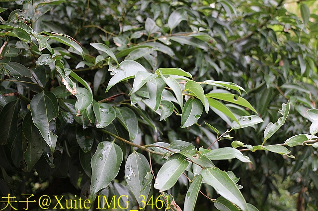 水保好好玩：三水水土保持戶外教室，一座兼具安全、生態與休閒的水保樂園