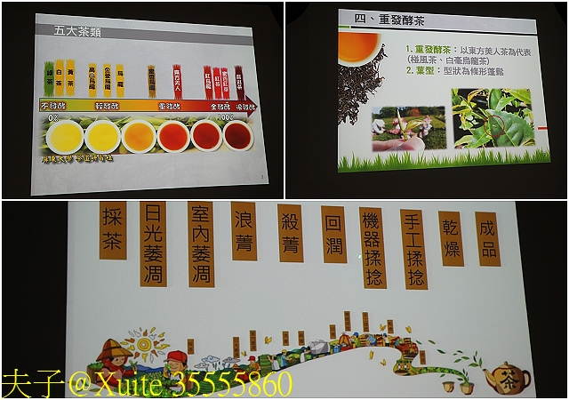 水保好好玩：三水水土保持戶外教室，一座兼具安全、生態與休閒的水保樂園