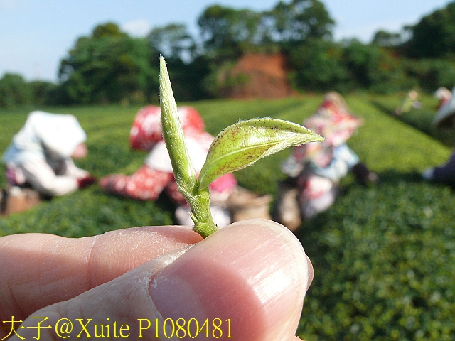 水保好好玩：三水水土保持戶外教室，一座兼具安全、生態與休閒的水保樂園