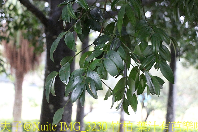 水保好好玩：三水水土保持戶外教室，一座兼具安全、生態與休閒的水保樂園