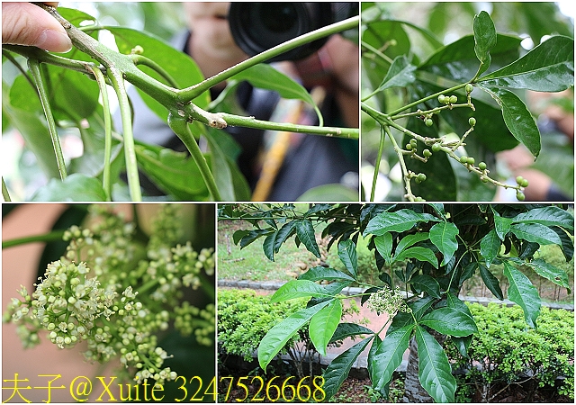 水保好好玩：三水水土保持戶外教室，一座兼具安全、生態與休閒的水保樂園