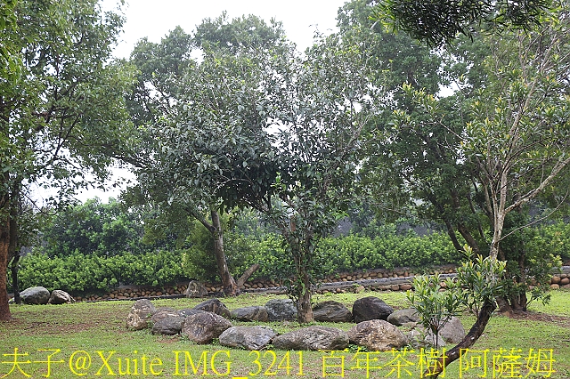 水保好好玩：三水水土保持戶外教室，一座兼具安全、生態與休閒的水保樂園