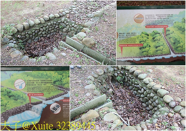 水保好好玩：三水水土保持戶外教室，一座兼具安全、生態與休閒的水保樂園