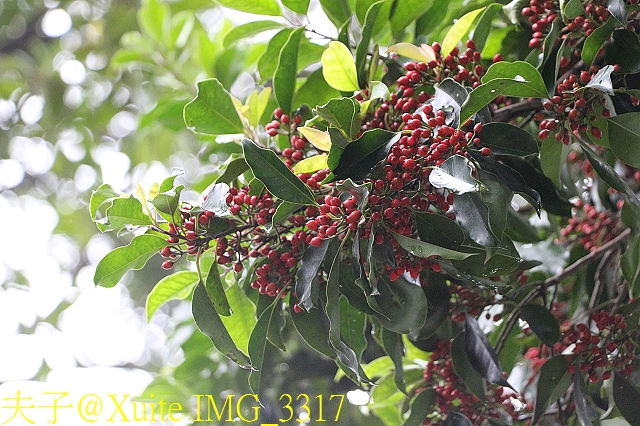 水保好好玩：三水水土保持戶外教室，一座兼具安全、生態與休閒的水保樂園