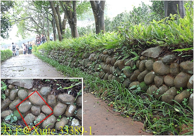 水保好好玩：三水水土保持戶外教室，一座兼具安全、生態與休閒的水保樂園