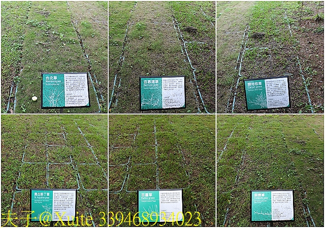 水保好好玩：三水水土保持戶外教室，一座兼具安全、生態與休閒的水保樂園