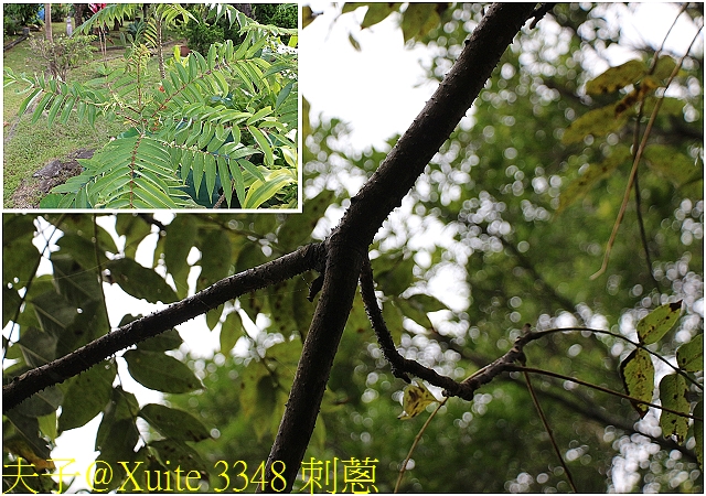 水保好好玩：三水水土保持戶外教室，一座兼具安全、生態與休閒的水保樂園