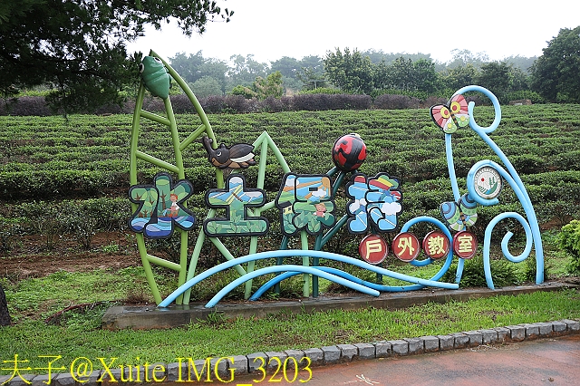 水保好好玩：三水水土保持戶外教室，一座兼具安全、生態與休閒的水保樂園