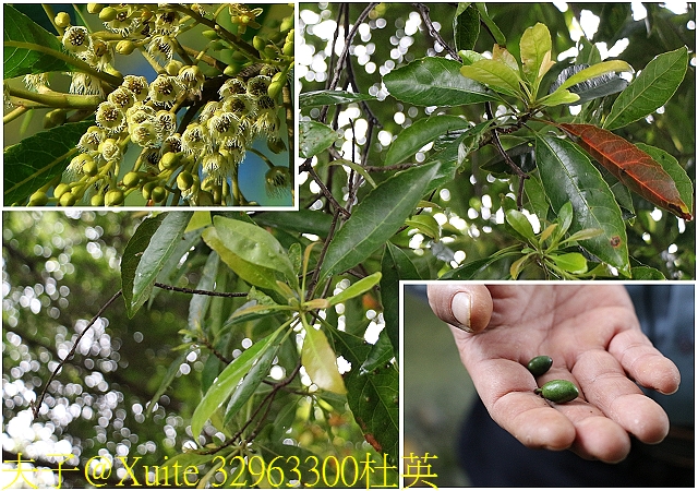 水保好好玩：三水水土保持戶外教室，一座兼具安全、生態與休閒的水保樂園