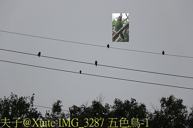 水保好好玩：三水水土保持戶外教室，一座兼具安全、生態與休閒的水保樂園