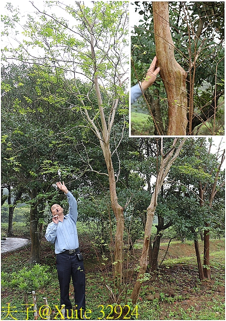 水保好好玩：三水水土保持戶外教室，一座兼具安全、生態與休閒的水保樂園