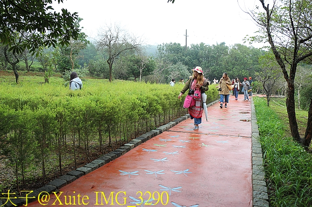 水保好好玩：三水水土保持戶外教室，一座兼具安全、生態與休閒的水保樂園