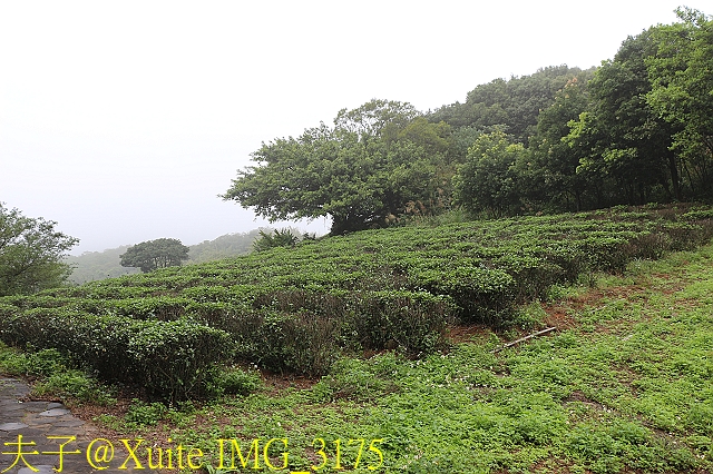 水保好好玩：三水水土保持戶外教室，一座兼具安全、生態與休閒的水保樂園