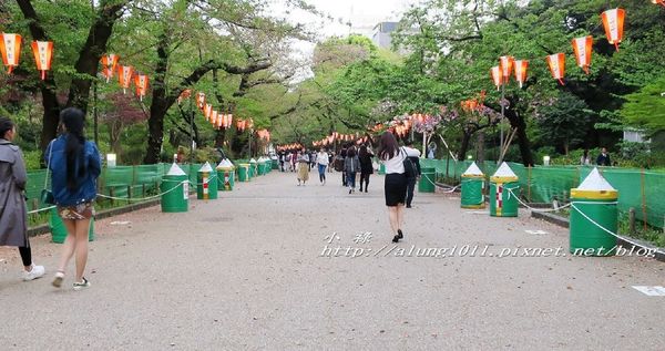 東京櫻花集錦 (16).jpg