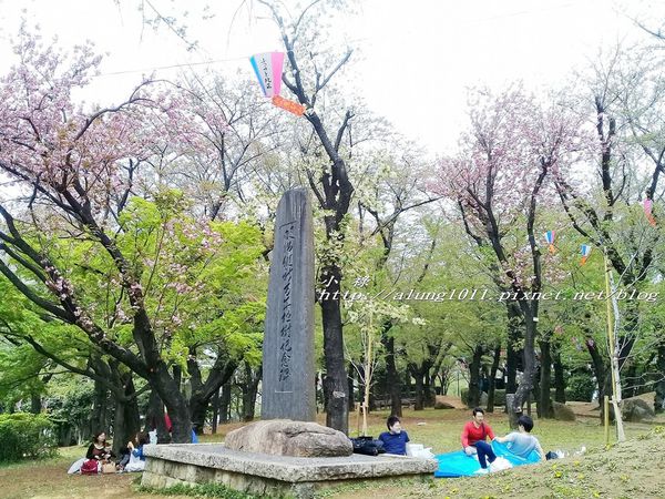 櫻花集錦 (89).jpg