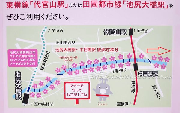 櫻花集錦 (91).jpg