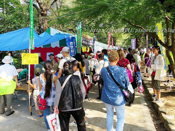 飛鳥山公園：飛鳥山趕集記..