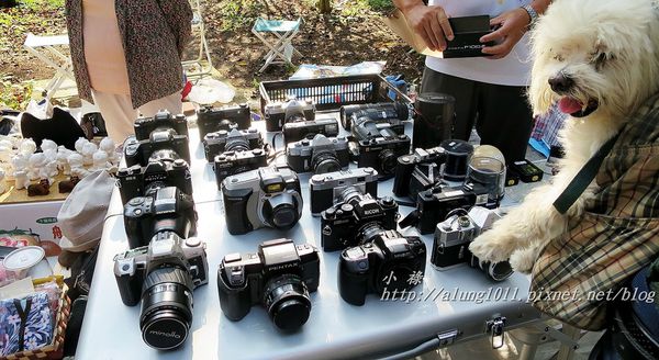 飛鳥山公園：飛鳥山趕集記..