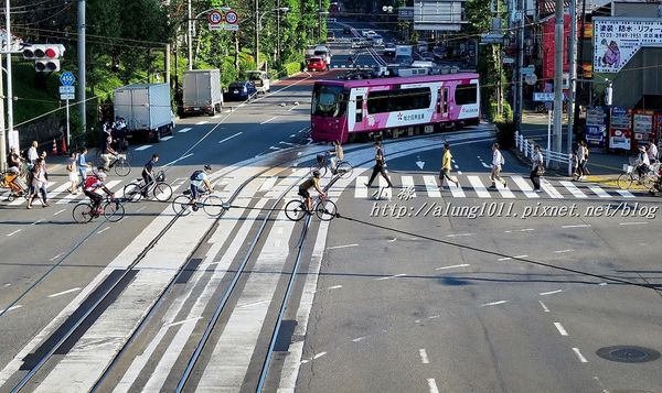 飛鳥山公園：飛鳥山趕集記..