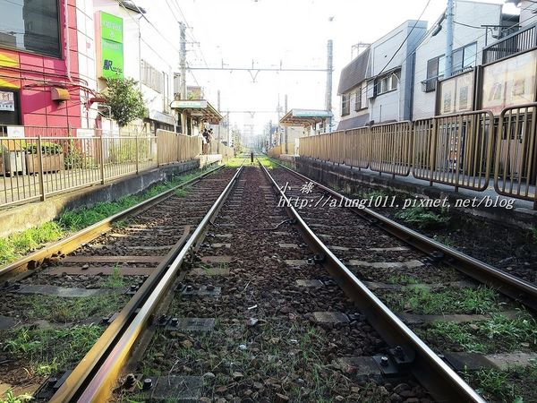 飛鳥山公園：飛鳥山趕集記..