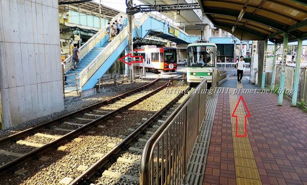飛鳥山公園：飛鳥山趕集記..