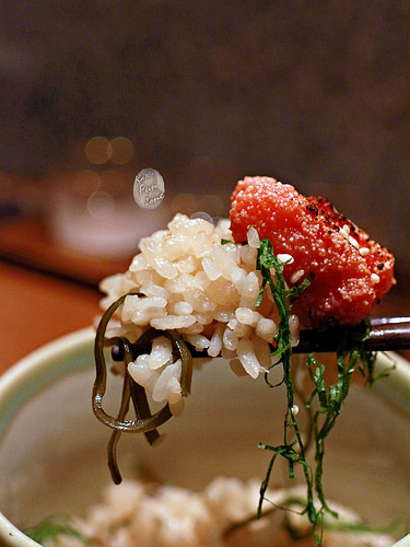 光琳 via Kate's FZ 光琳 via Kate's FZ