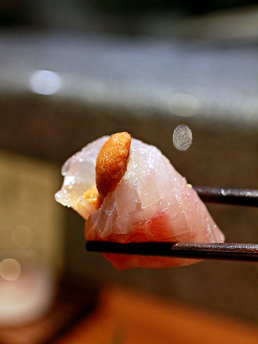 光琳 via Kate's FZ 光琳 via Kate's FZ