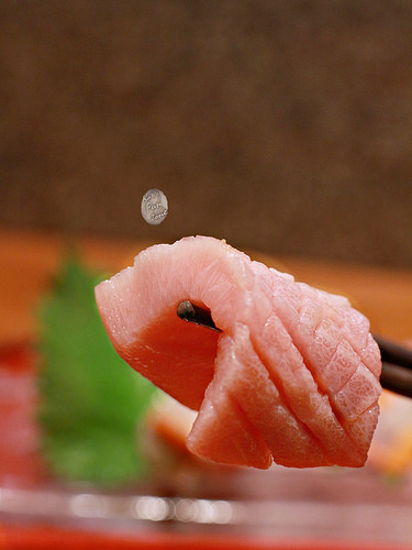 光琳 via Kate's FZ 光琳 via Kate's FZ