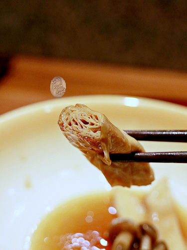 光琳 via Kate's FZ 光琳 via Kate's FZ