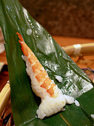 光琳 via Kate's FZ 光琳 via Kate's FZ