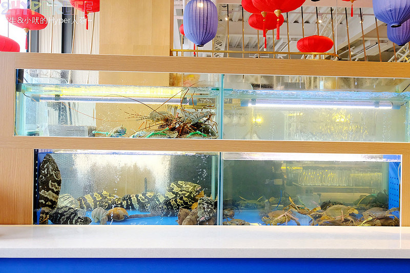 @強生與小吠的Hyper人蔘~