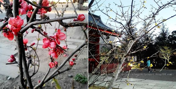 淺草寺：散策．浅草..