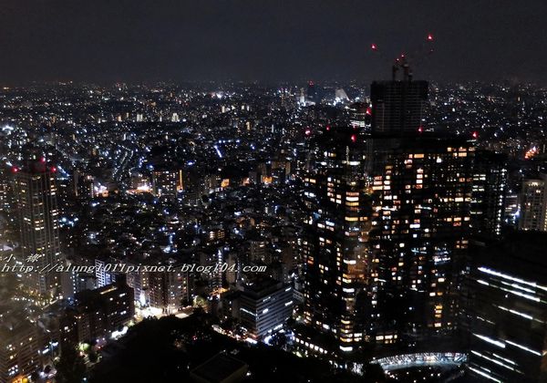 東京都廳：無料!!!     ..東京都廳展望室夜景