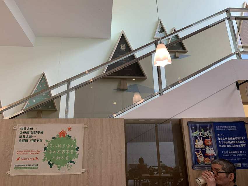 毛小孩專屬。寵物友善餐廳,餐點美味,超大空間讓毛孩奔跑,還有寵物游泳池。台中美食~丹尼的吃喝玩樂~