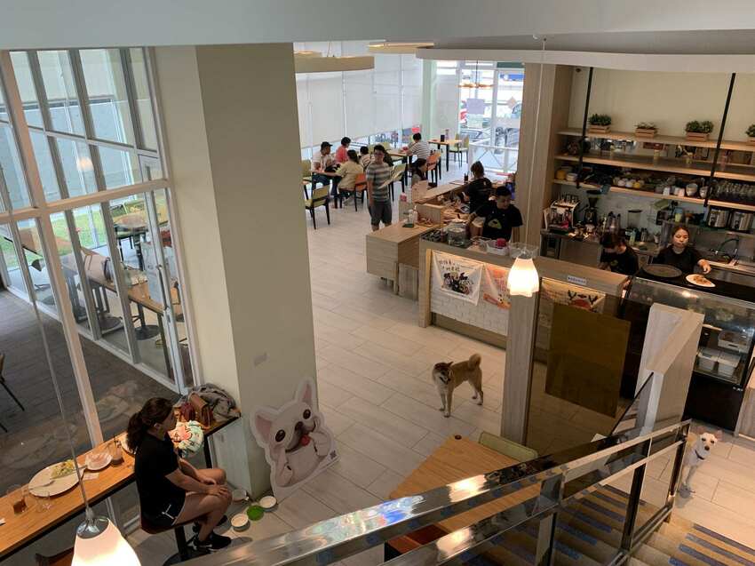 毛小孩專屬。寵物友善餐廳,餐點美味,超大空間讓毛孩奔跑,還有寵物游泳池。台中美食~丹尼的吃喝玩樂~