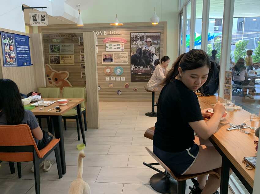 毛小孩專屬。寵物友善餐廳,餐點美味,超大空間讓毛孩奔跑,還有寵物游泳池。台中美食~丹尼的吃喝玩樂~
