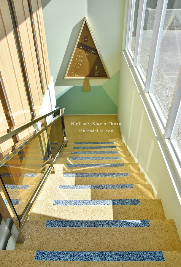 台中寵物餐廳le chien樂享森活06