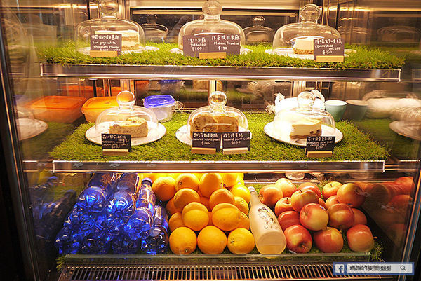 台北南京三民咖啡館【O.L.O CAFÉ】熱帶雨林中的悠閒午后〡免費WIFI聚餐包場