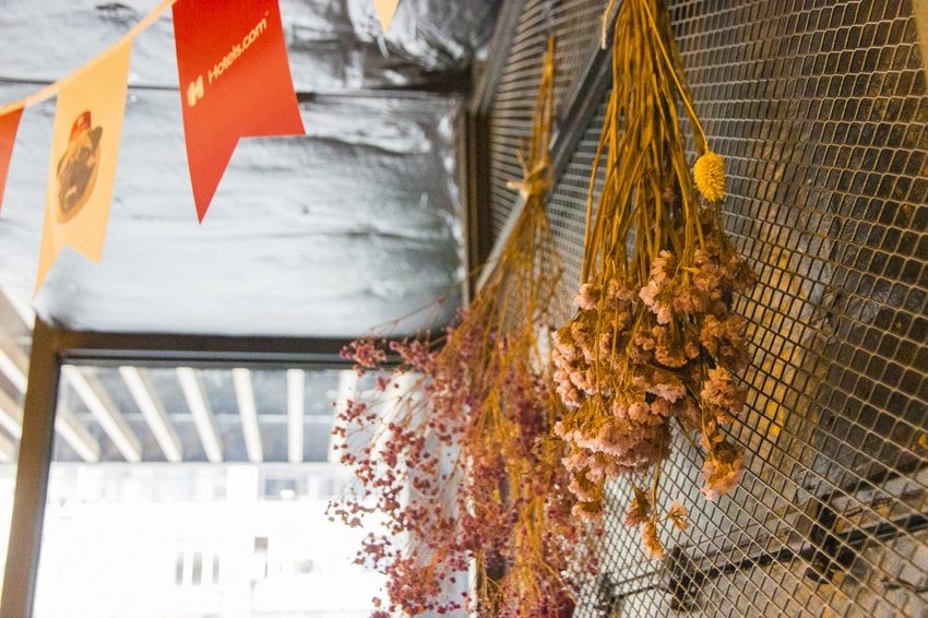 【吃喝.台北】松山下午茶/O.L.O CAFÉ~亞洲唯一Hotels.com聯名咖啡館/輕食咖啡,禮賓大使Bellbug巴哥萌狗陪你用餐