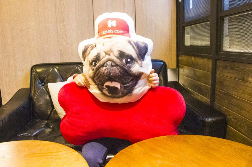 【吃喝.台北】松山下午茶/O.L.O CAFÉ~亞洲唯一Hotels.com聯名咖啡館/輕食咖啡,禮賓大使Bellbug巴哥萌狗陪你用餐