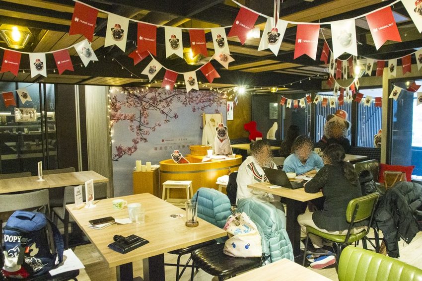 【吃喝.台北】松山下午茶/O.L.O CAFÉ~亞洲唯一Hotels.com聯名咖啡館/輕食咖啡,禮賓大使Bellbug巴哥萌狗陪你用餐