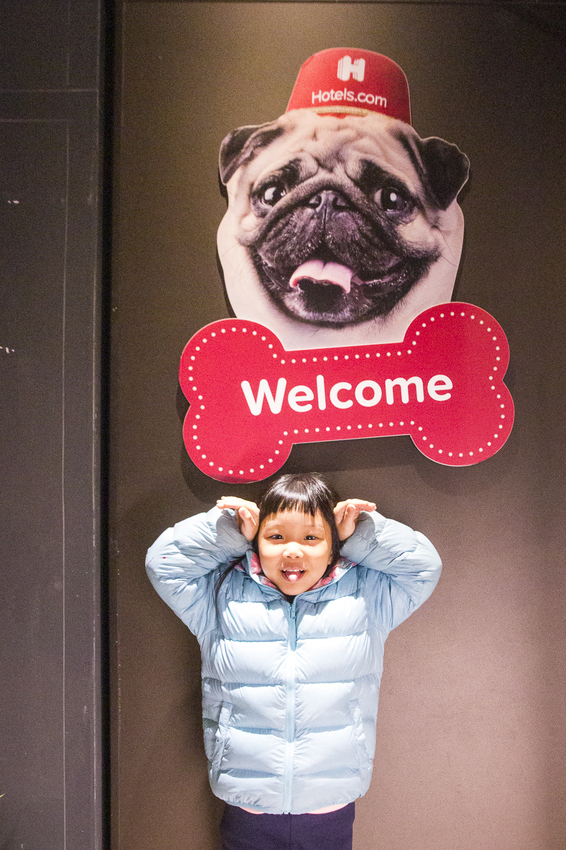 【吃喝.台北】松山下午茶/O.L.O CAFÉ~亞洲唯一Hotels.com聯名咖啡館/輕食咖啡,禮賓大使Bellbug巴哥萌狗陪你用餐