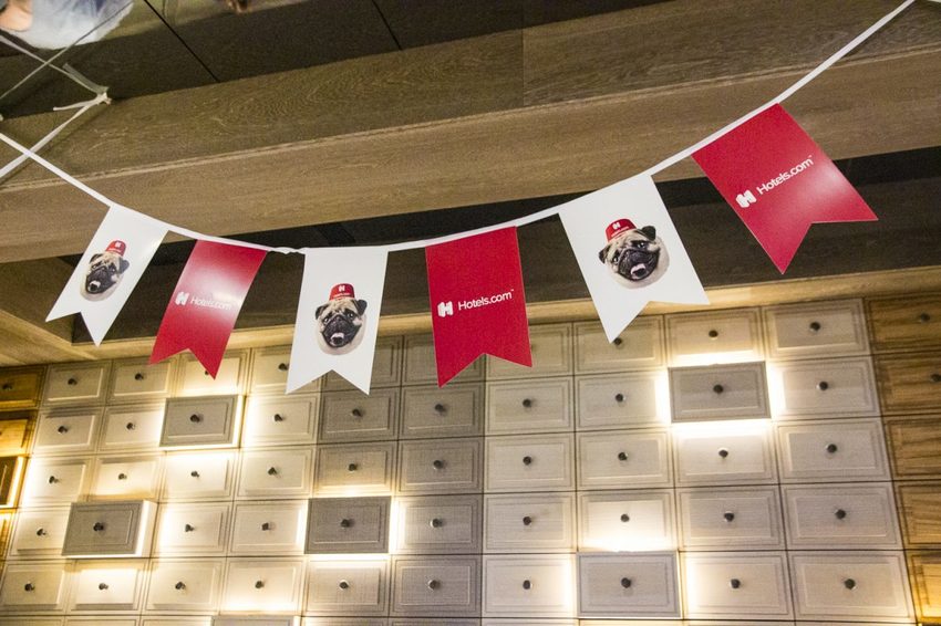 【吃喝.台北】松山下午茶/O.L.O CAFÉ~亞洲唯一Hotels.com聯名咖啡館/輕食咖啡,禮賓大使Bellbug巴哥萌狗陪你用餐