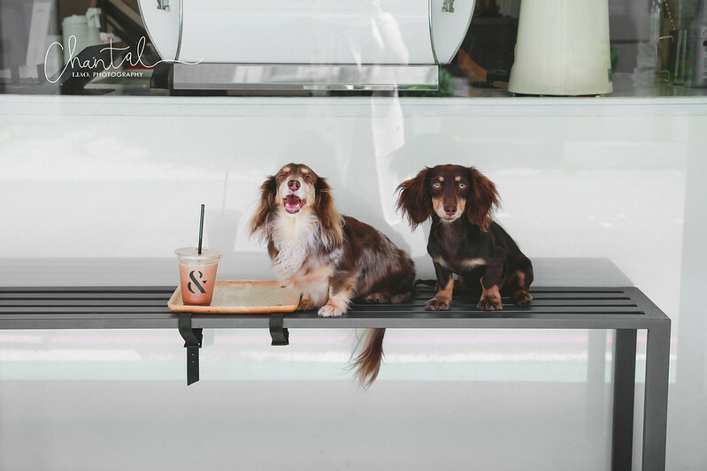 _J6A8415-2拷貝-3 拷貝