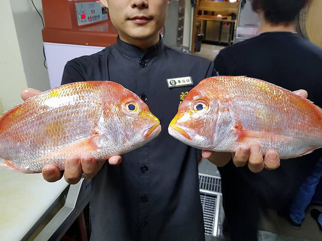 29365442_1230486010417734_5353780711327268864_n