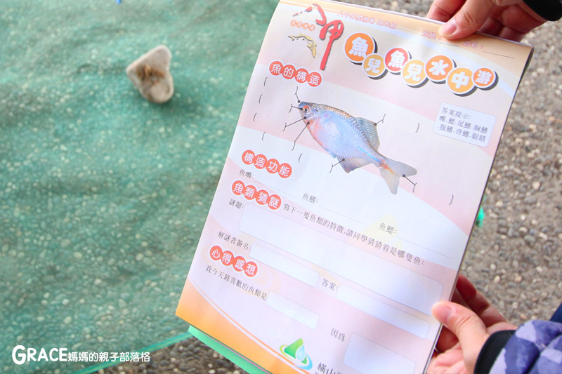 北部親子景點宜蘭-橫山頭休閒農業區-舊名蓮成觀光休閒農場-新名內城生態園區-大自然教室-DIY芋泥球-戶外野炊-網抓七彩魚-grace媽媽 (44).jpg