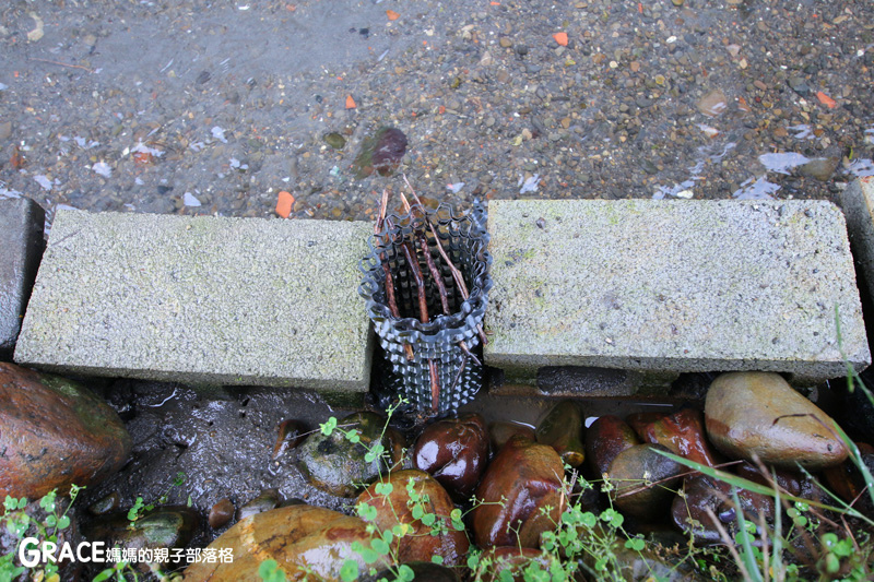 北部親子景點宜蘭-橫山頭休閒農業區-舊名蓮成觀光休閒農場-新名內城生態園區-大自然教室-DIY芋泥球-戶外野炊-網抓七彩魚-grace媽媽 (10).jpg